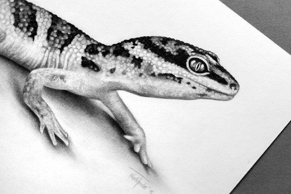Leopard Gecko pencil drawing ORIGINAL Art by Kerli