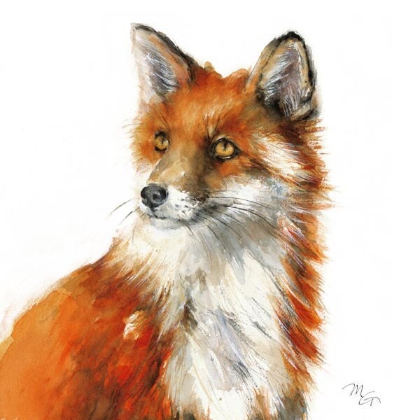 Red Fox Archival print of watercolor painting Art Print 