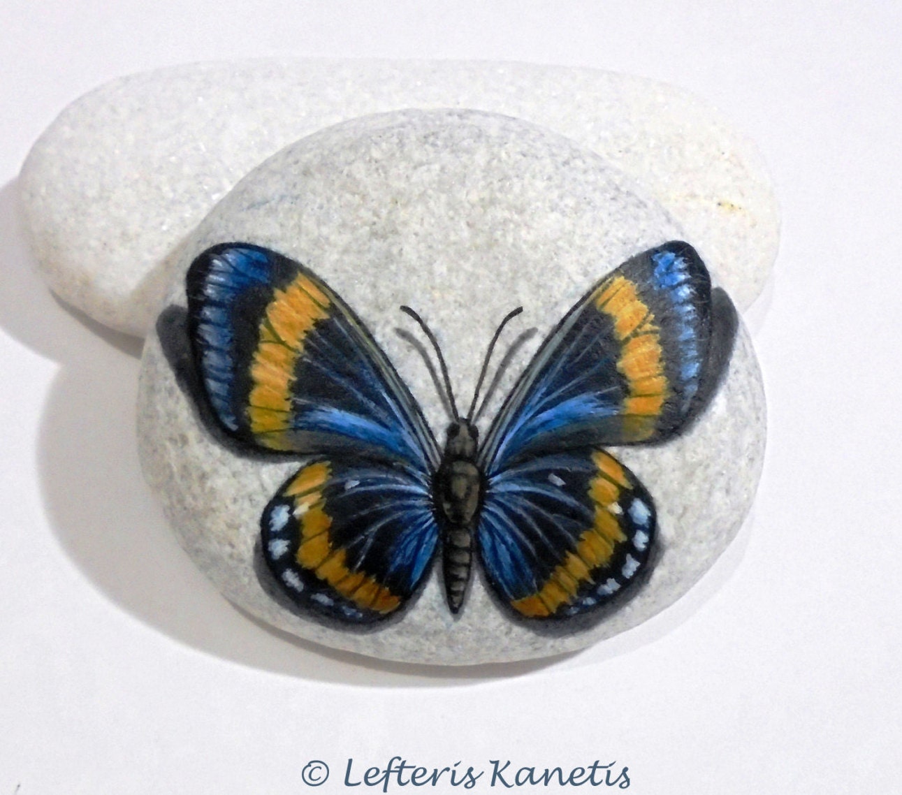Rock painting butterfly Is Painted with high quality