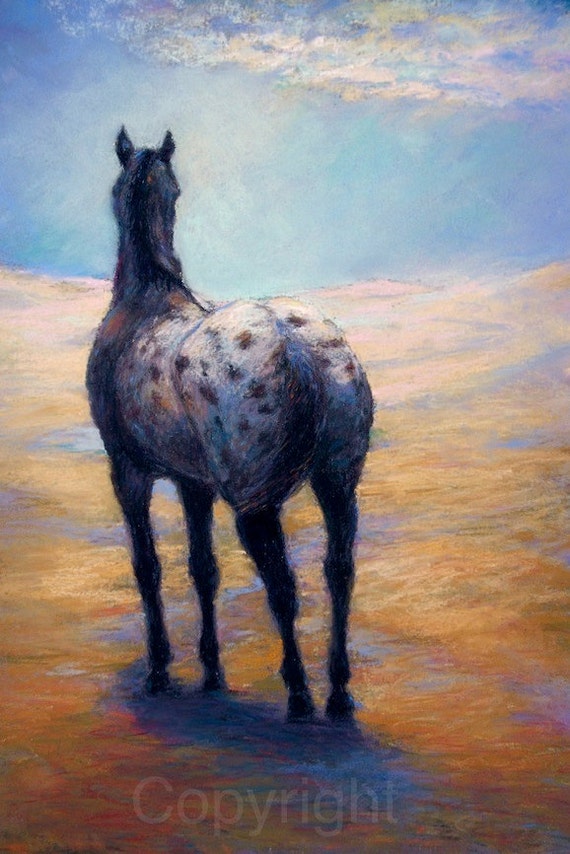 Appaloosa Horse Art On Canvas or paper of 'Clouds Become