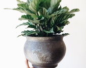 Vintage Copper Cache Pot - patina, planter, houseplant