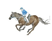 Horse galloping with blue helmet person