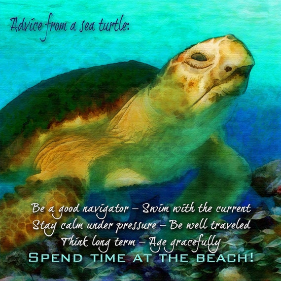 Sea Turtle Advice from a Sea Turtle by MMBPhotoGraphics on Etsy