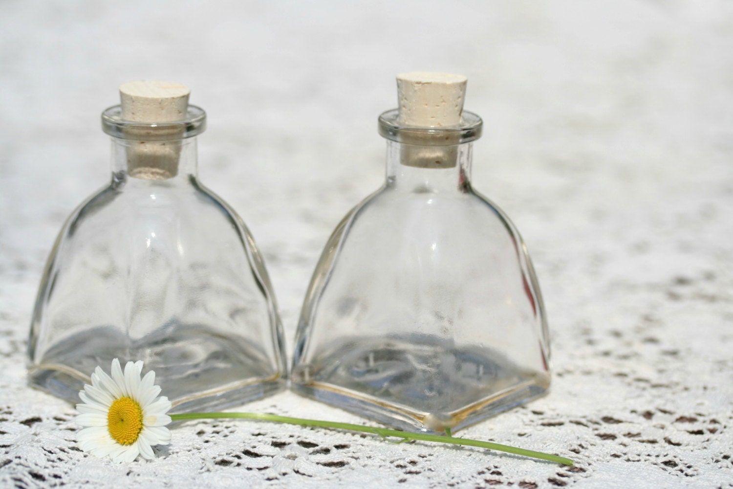 Ten Empty 2oz Corked Bottles 60ml Small Bottles With Corks