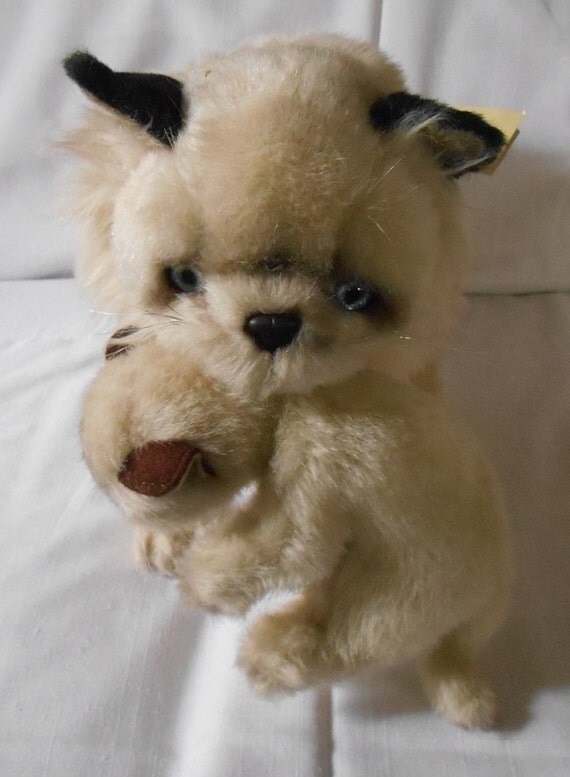 avanti stuffed cat