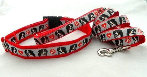 Amazing red collars nad leash for set for Bernese Mountain