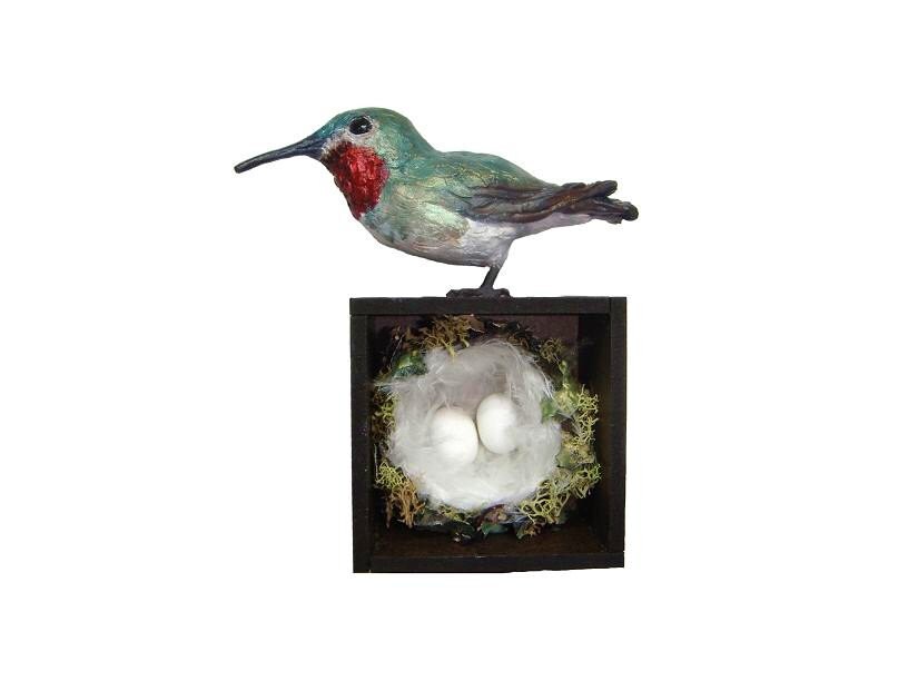 hummingbird shadow box sculpture nest eggs broad tailed hummingbird shadow box sculpture nest eggs broad tailed