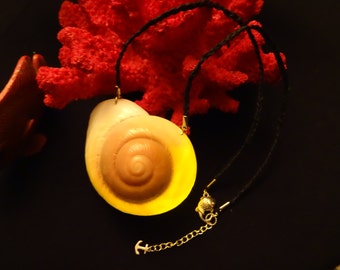 Ursula's Enchanted Voice Necklace Ursulas Voice Shell Necklace Seashell Necklace Ariels Seashell Necklace Ariels Voice Shell Necklace