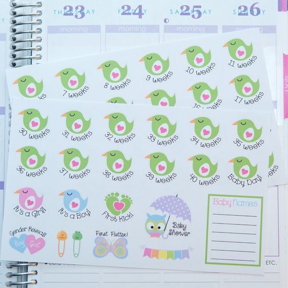 Pregnancy Planner Stickers Weekly Countdown & Events