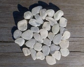 GOING OUT OF BUSINESS due to Etsy Pmts. by TheJetty on Etsy