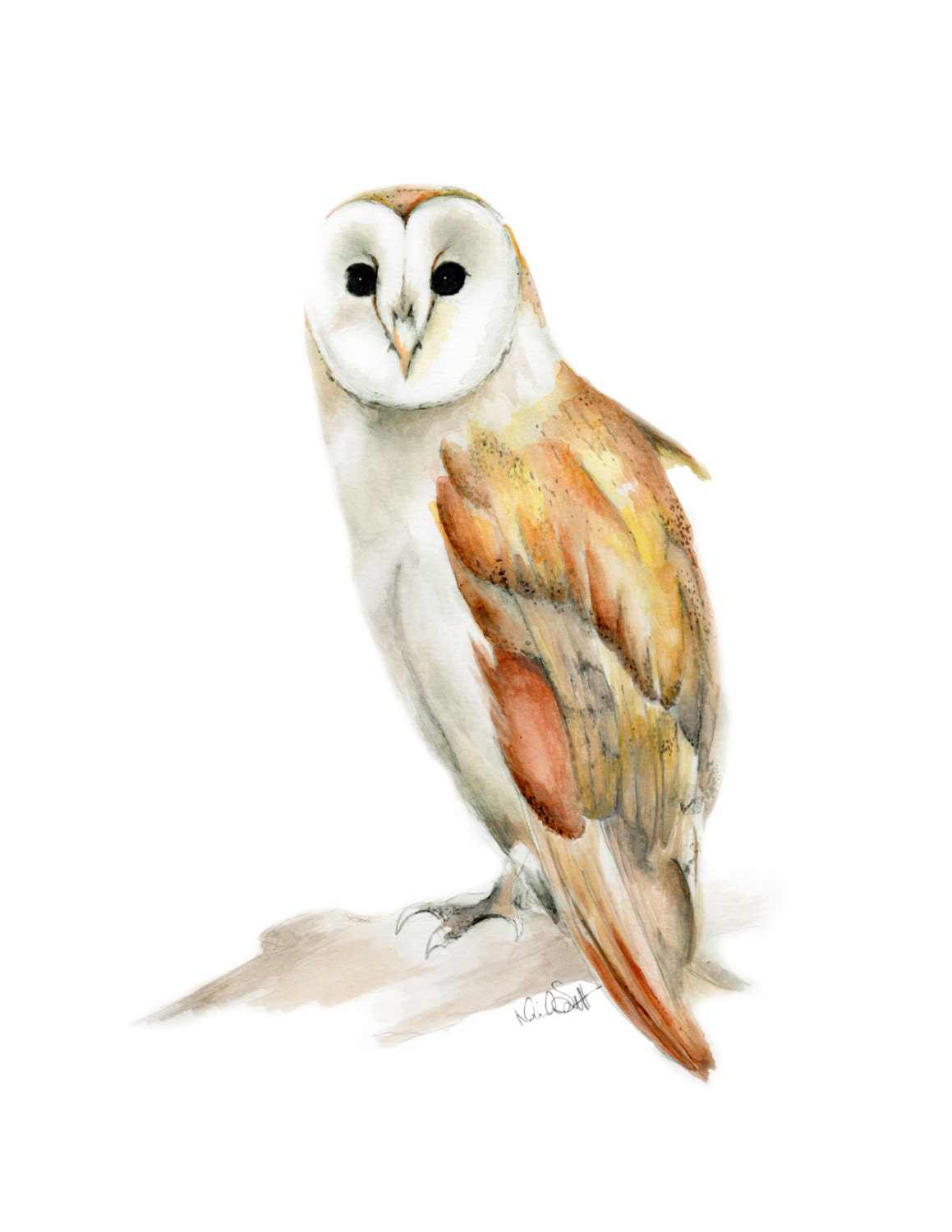 Barn Owl Painting Autumn Art Autumn Animal Print Bird Art