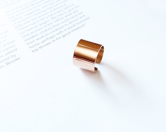 18k Gold Two-Tone Pisces Ring main image 1