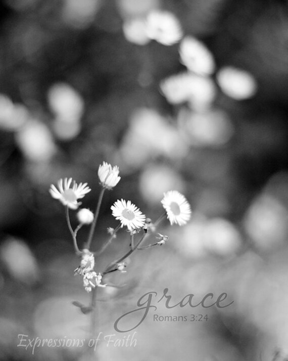 Tiny White Flowers Black and White Decor Romantic Flowers