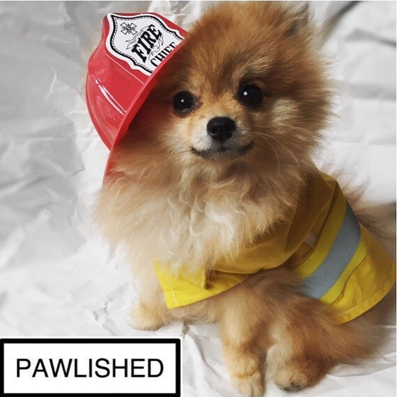 Items similar to XS Dog Fireman Costume on Etsy