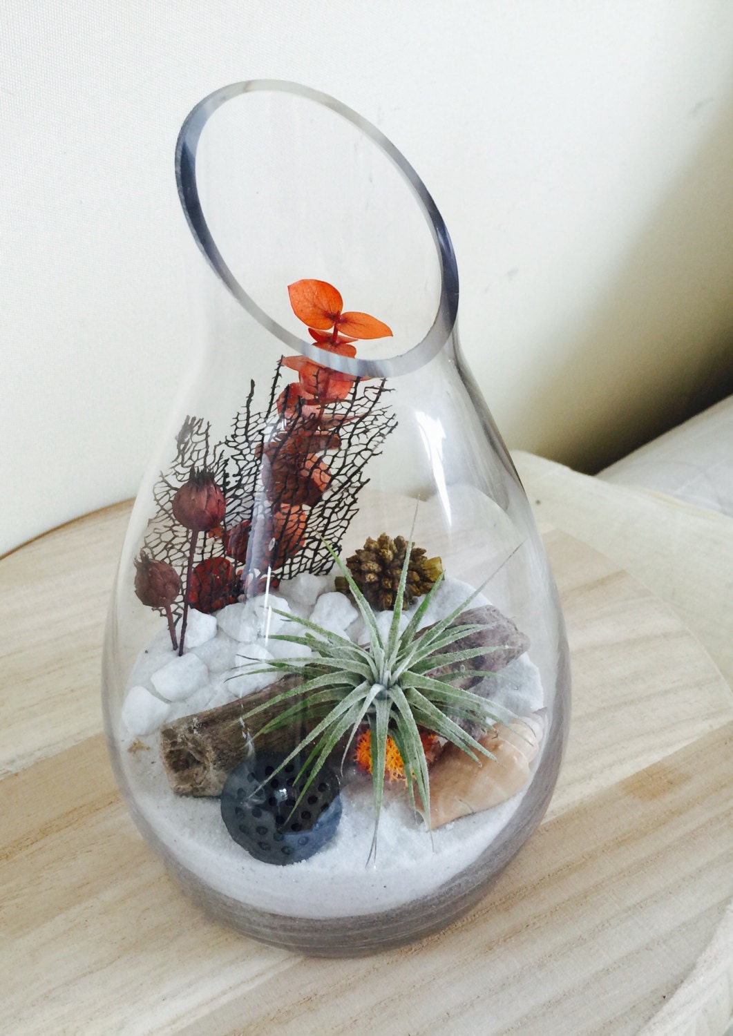 Air Plant Terrarium