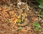 Resin Mushrooms Cute Frog Accessories Miniature Mushroom/ Mushroom Mini Garden Decoration/Terrarium decoration