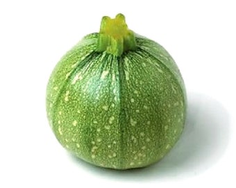 Organic Zucchini seeds, light green round Zucchini heirloom seeds, home grown Ronde De Nice squash seeds, 10 seeds