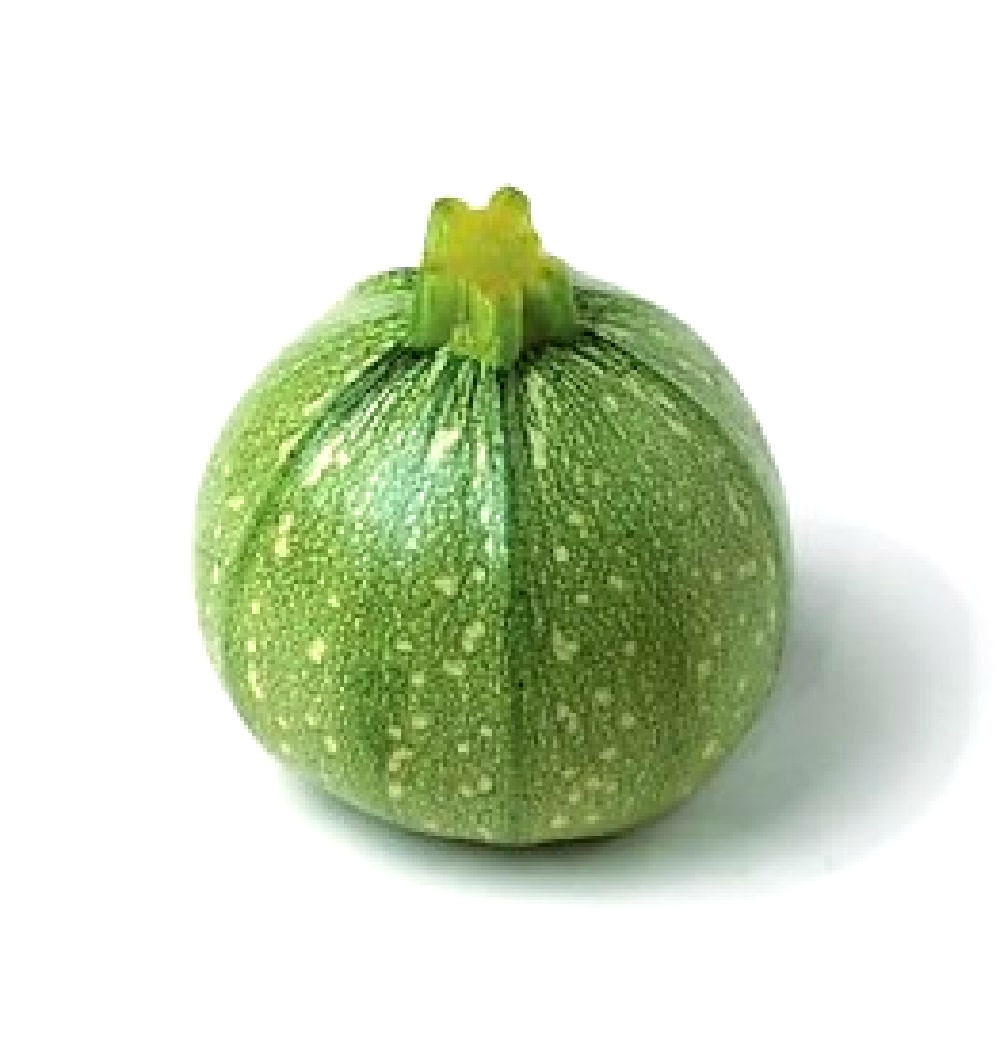 Organic Zucchini seeds light green round Zucchini by SeedLife