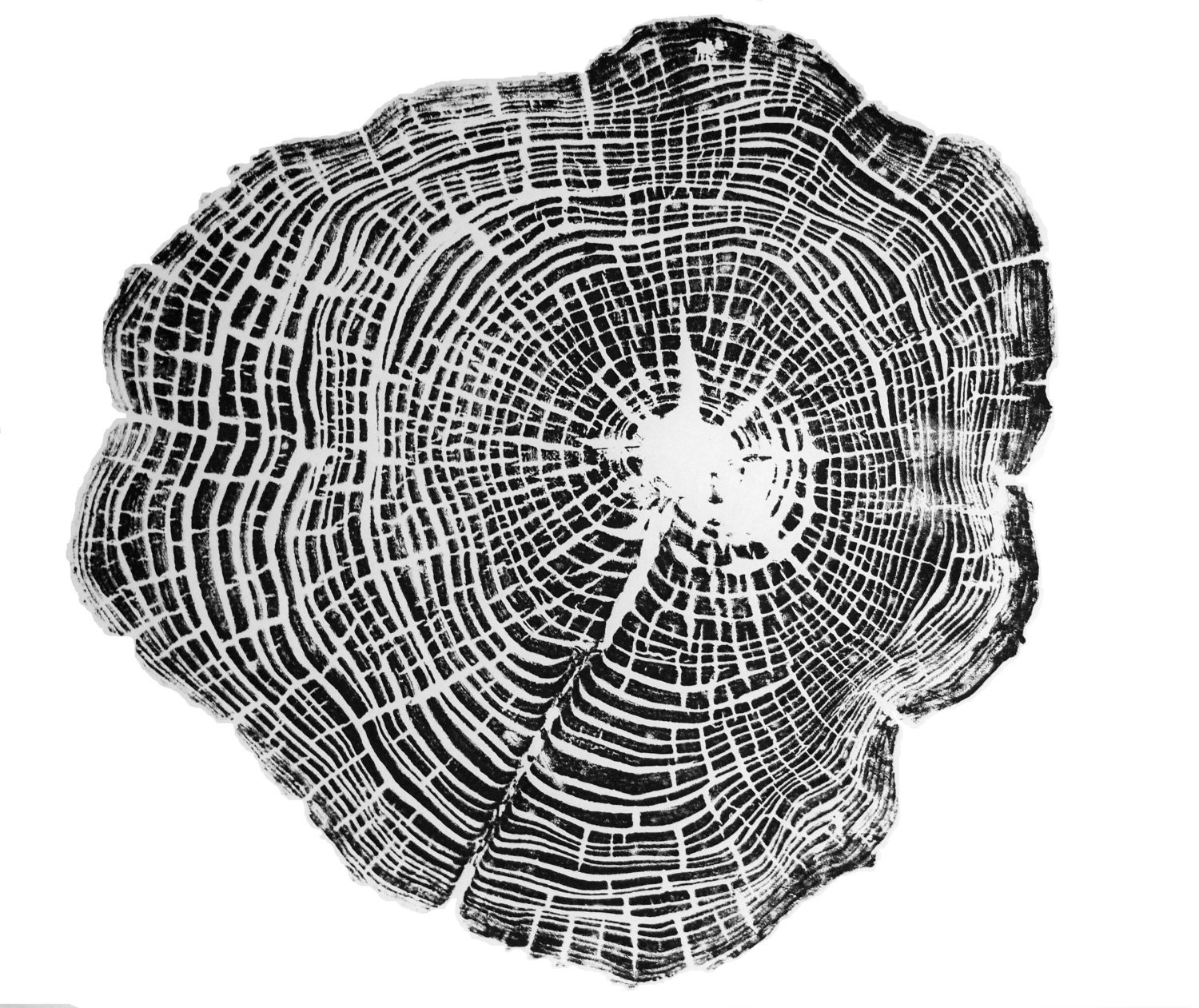 How To Make Tree Ring Prints - Tree ring art print, Art for the office, tree ring pattern ... / In 2012, gill released woodcut, a collection of his prints—named one of the year's best books by the new york times magazine.