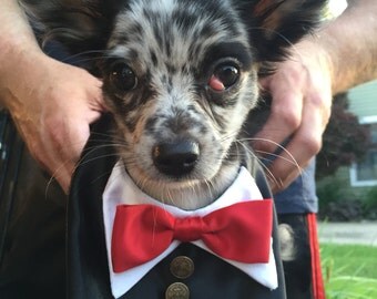 Dog Tuxedo, Dog wedding clothes