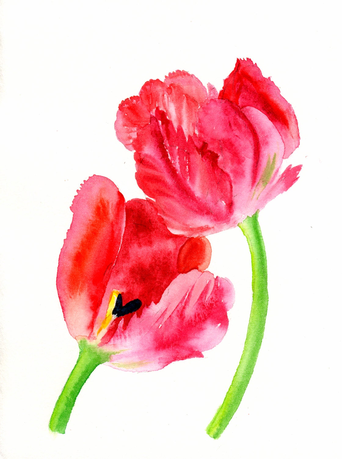 Red Tulips Two Art Fine Art Print Original Watercolor Floral