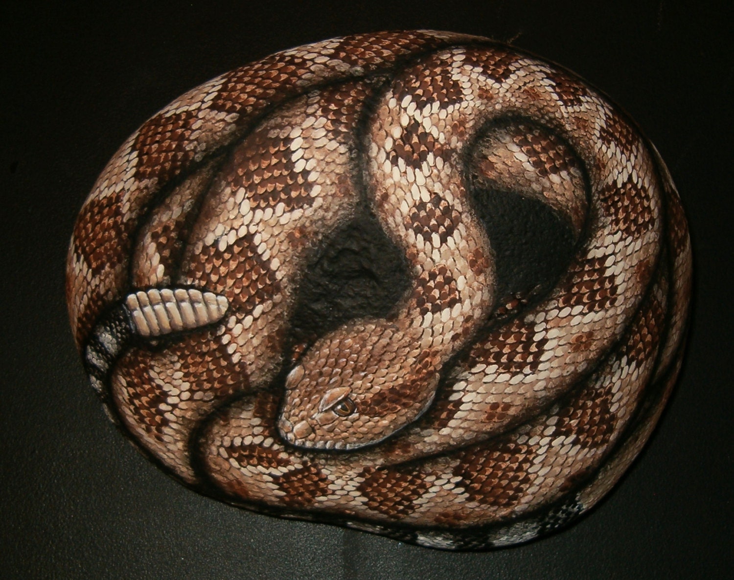 Western Diamondback Rattlesnake Hand Painted Rock Art by amylenore