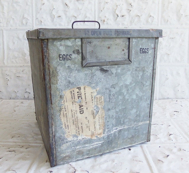 Vintage Metal Egg Crate ProtectoCrate by JunkFromMyTrunk on Etsy