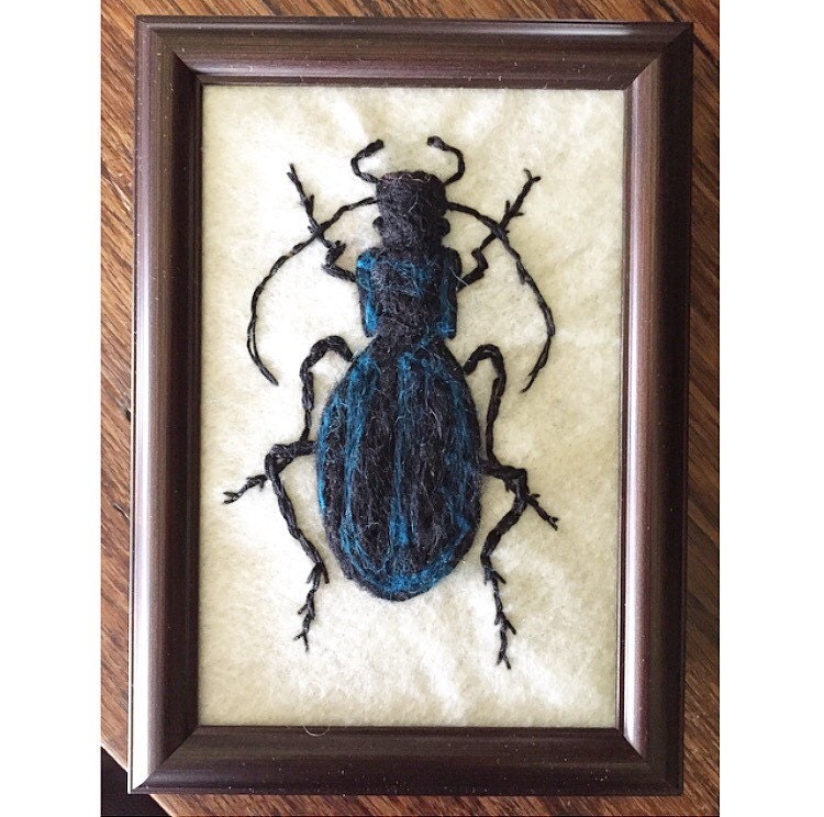 Needle felted Insect