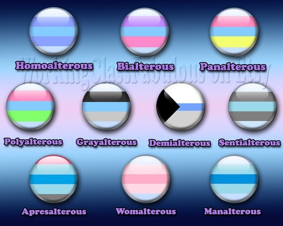 Items Similar To Alterous Attraction Pride Flag 15 Pinback Button Alterous Orientation