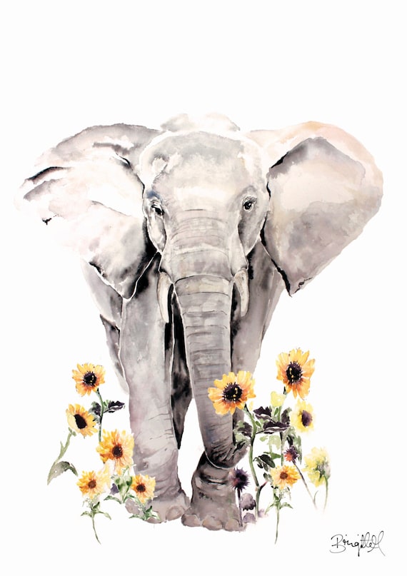 Free Free 53 Elephant With Sunflower Svg Free SVG PNG EPS DXF File