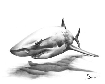 SHARK ART PRINT - great white shark painting, shark print, shark gift, shark decor, shark wall art, black and white shark, seal life art