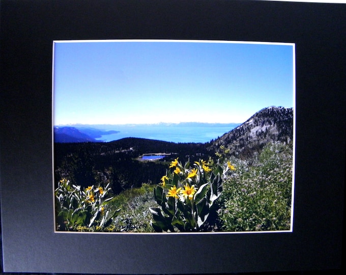 SPRINGTIME Photographic Wall Art by Pam Ponsart of Pam's Fab Photos; a perfect size for Home, Cubicle or Office use