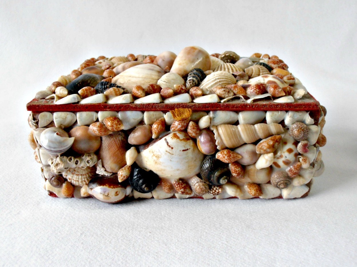 Vintage Seashell Box, Mid Century Beach Memory Box, English Shore