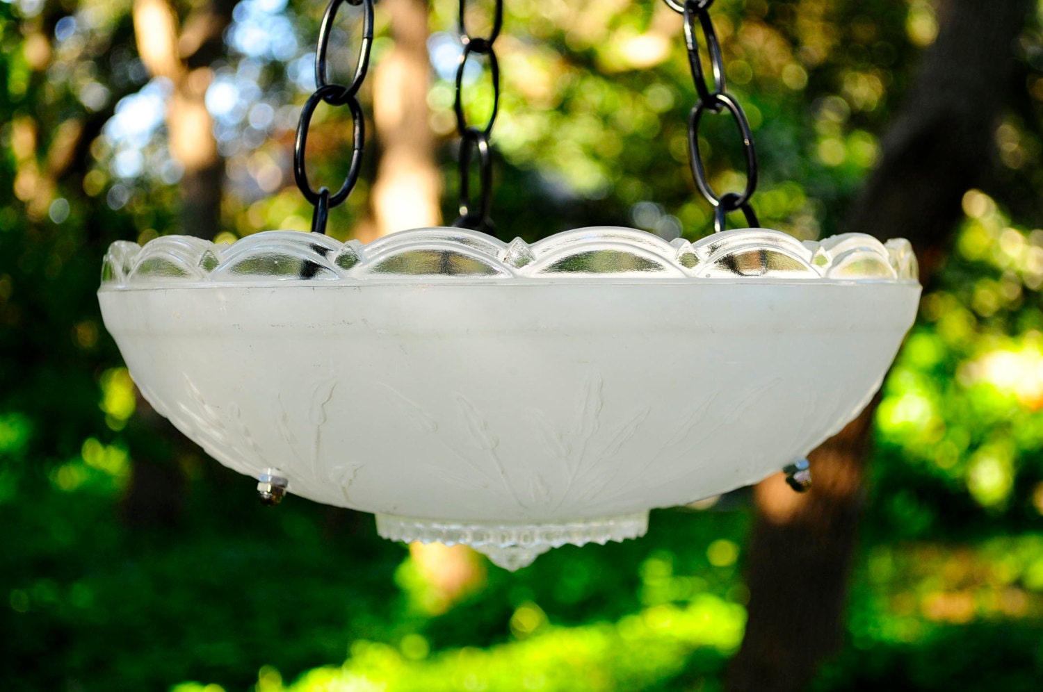 Glass bird feeder hanging bird bath hanging glass