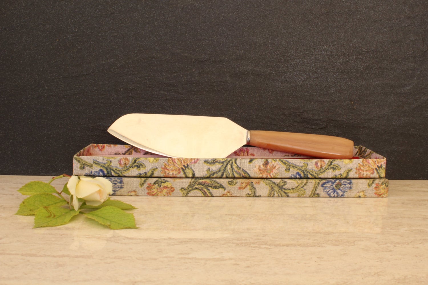 Vintage French Bakelite Cake Knife Serving Knife in Box Decorative