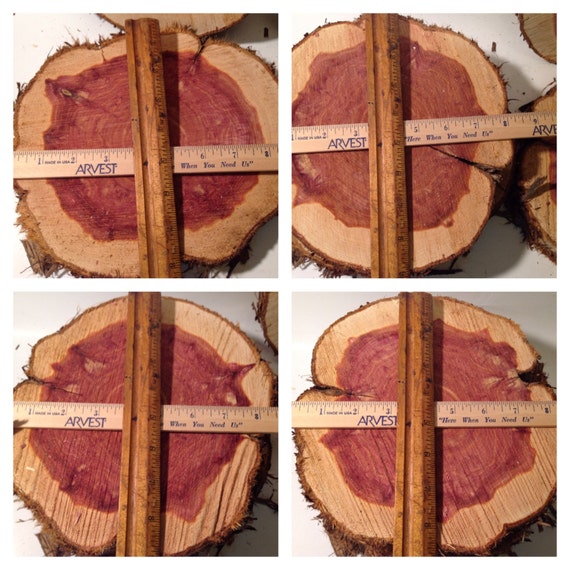 Rustic Cedar Wood Rounds Slices Wedding by