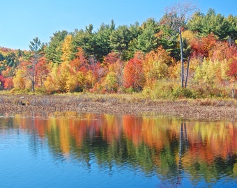 Items similar to Autumn Splendor on Etsy