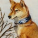 Shiba Inu Art - Original oil painting by Olivia Beaumont