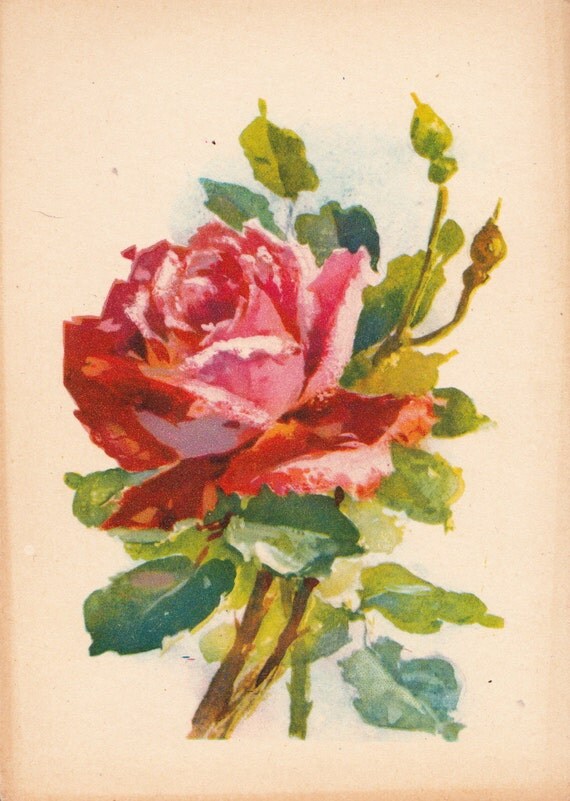 Vintage Polish Postcard -- 1970s