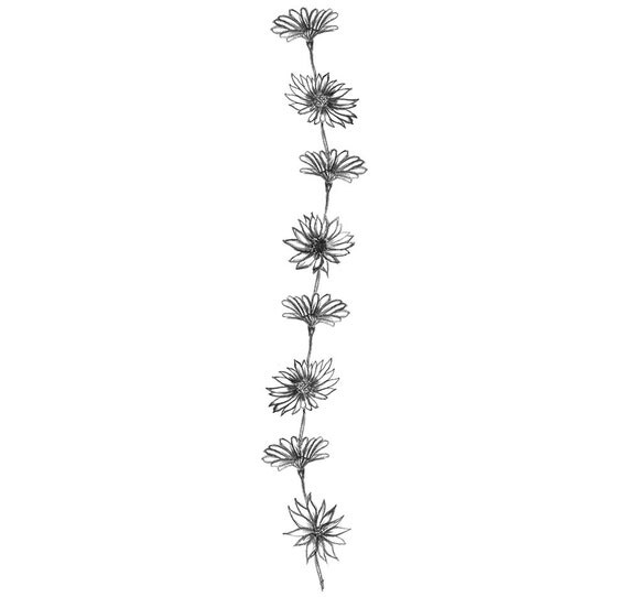Daisy Chain temporary tattoo 5x2