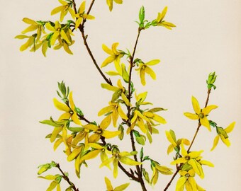 Yellow Flower Wall Art yellow flower art | etsy Yellow Flower Wall Art yellow flower art | etsy