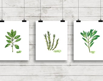 Watercolor Herbs Print Set No.1, Botanical Prints, Giclee, Herb Prints, Kitchen Art, Botanical Print Set, Herbs, Culinary Herbs, Herb Art
