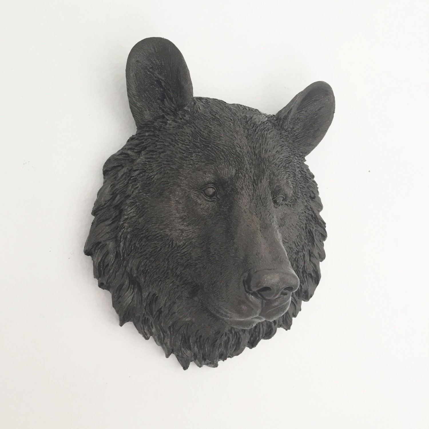 real bear head wall mount