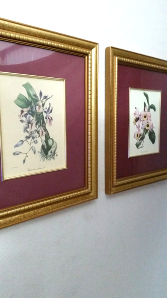 Orchid Print Set Gold Framed Artwork Botanical Print Set