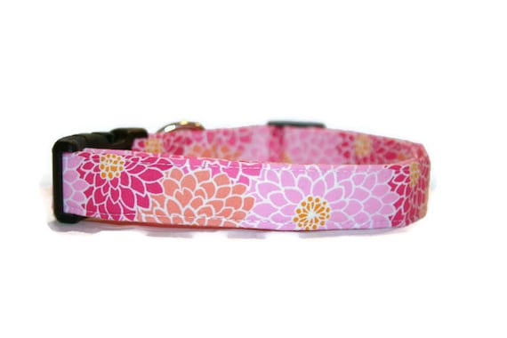 Items similar to Pink and Orange Floral Dog Collar on Etsy