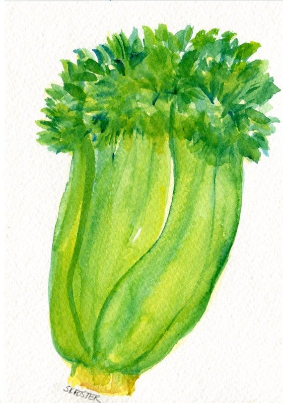 Celery Watercolors Paintings Original Small Vegetable