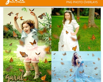 Monarch Butterflies Photoshop Overlays, 42 butterfly overlay, nature, scattered butterflies, PSD and PNG files, photoshop overlay