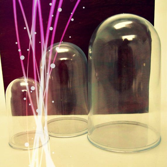 Plastic Dome Case Display Centerpiece with Clear Base
