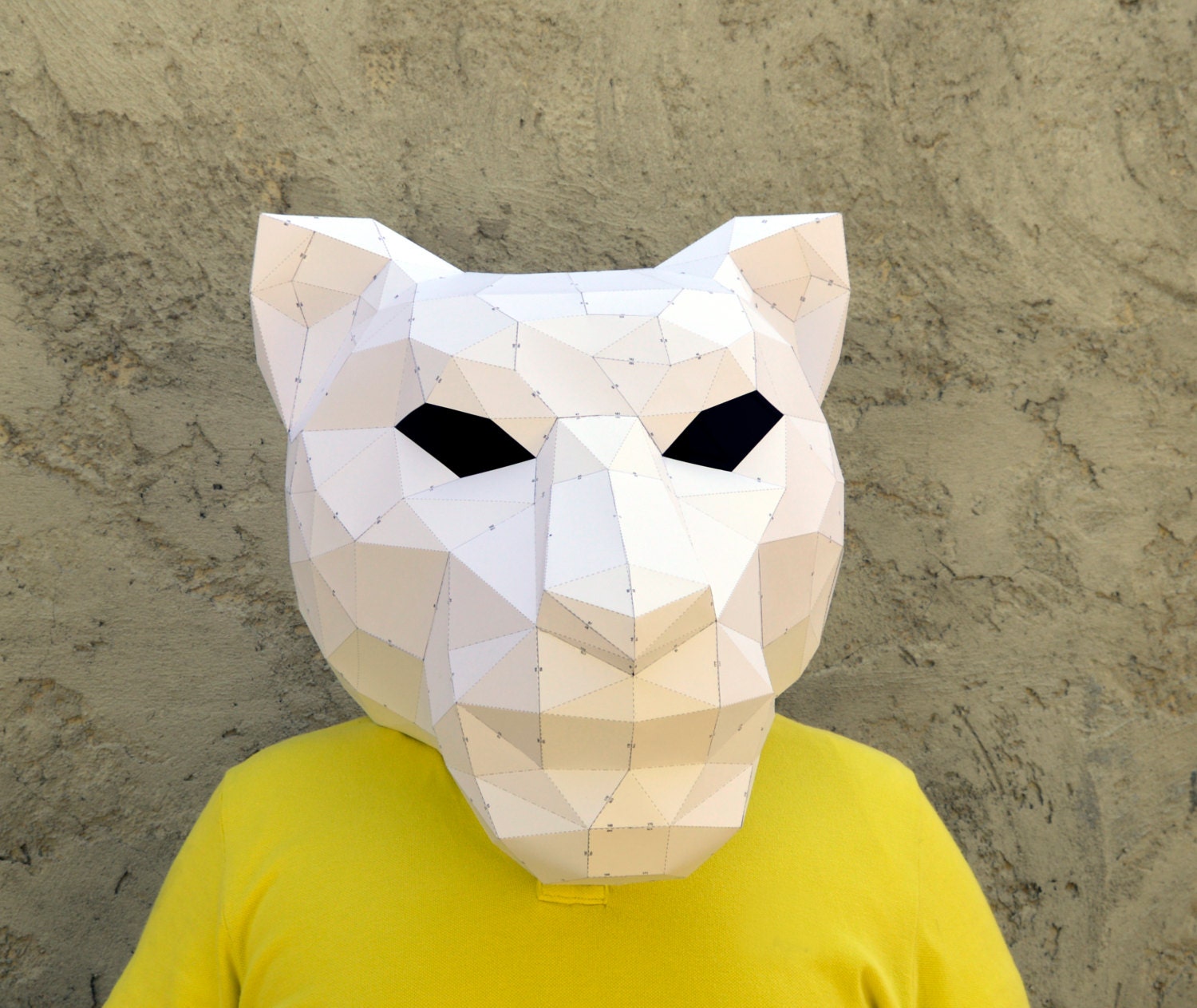 Maker You Own Tiger Mask. Papercrat Mask Paper Tiger Mask