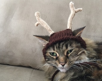 Cat dog antler hat christmas reindeer